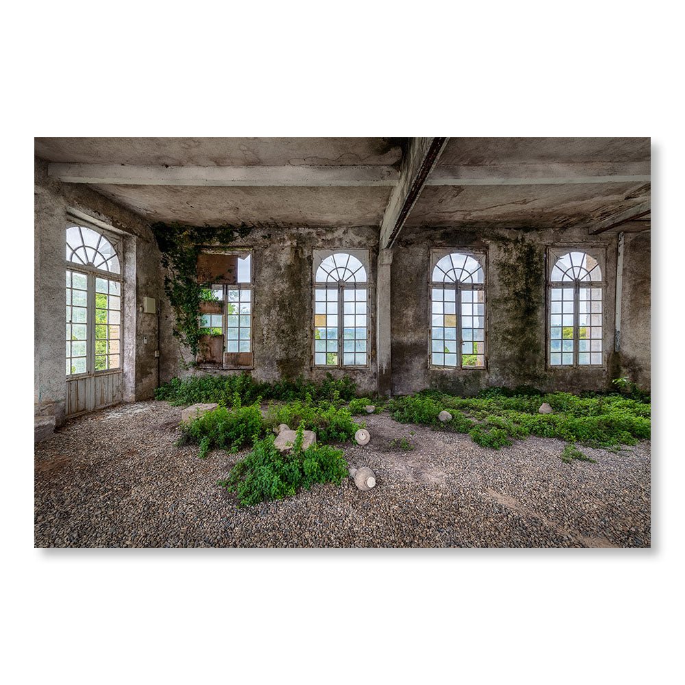 Tableau Moderne pas cher SBL0215 - Salle de réception végétation château abandonné en France - Tableau déco Décadence