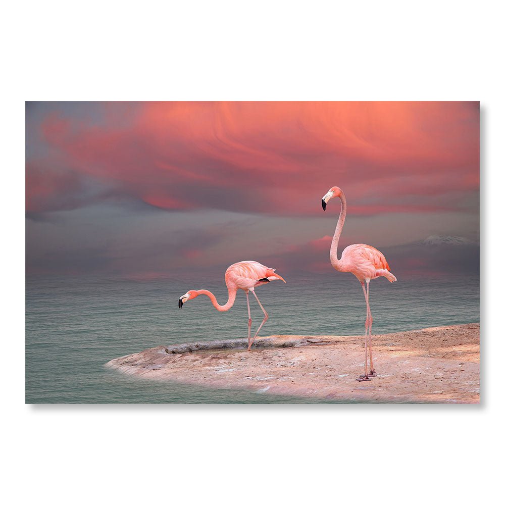 Modernes Design Wanddekoration Gemälde DST0002 – Zwei Flamingos am Strand – Tiere dekoratives Gemälde – Printadeco