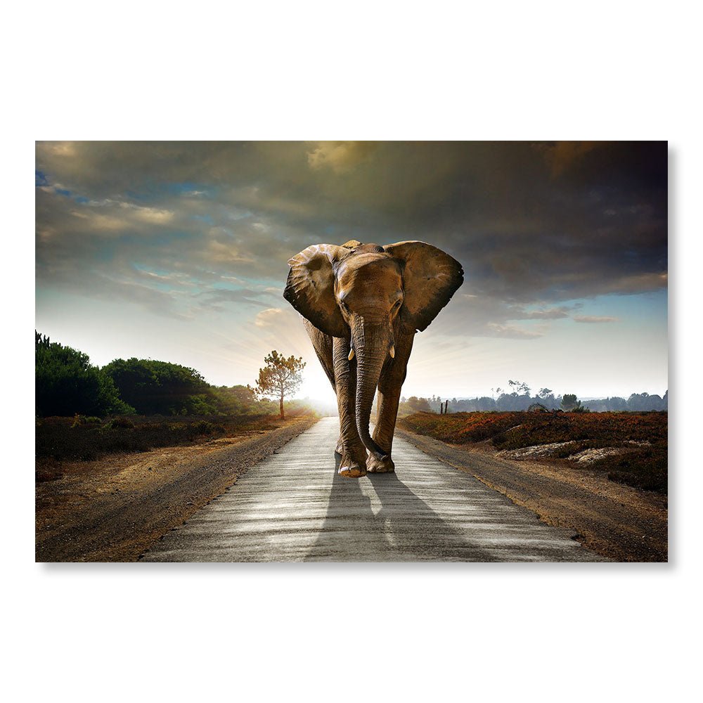Modernes Design Wanddekoration Gemälde DST0004 – Afrikanischer Elefant zu Fuß auf einer Straße in der Savanne – Tiere dekoratives Gemälde – Printadeco