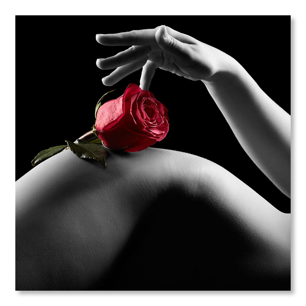 Modern Design Wall Decoration Painting DST0008 - Female body curves with her hand and a rose - Glamor decorative painting - Printadeco
