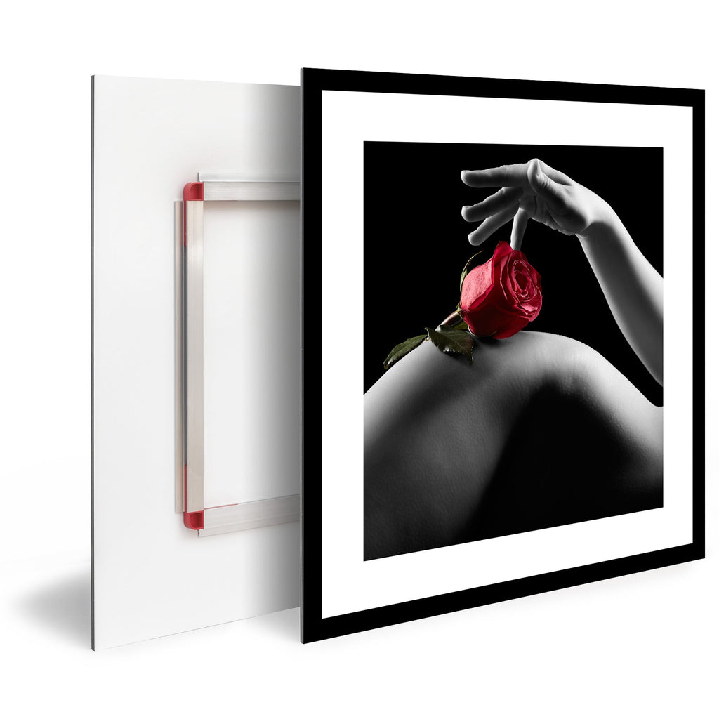 Tableau Moderne pas cher DST0008 - Courbes de corps féminin avec sa main et une rose - Tableau déco Glamour