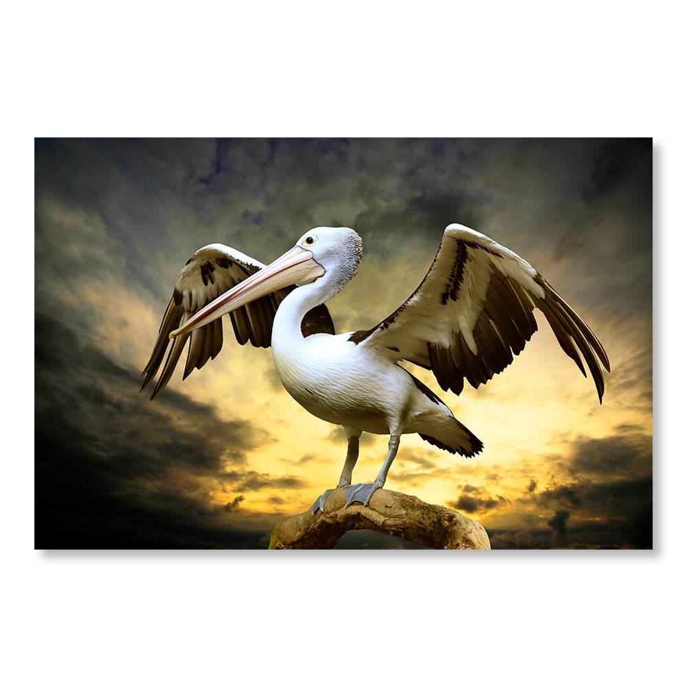 Modern Design Wall Decoration Painting DST0009 - Pelican on a rock spreading its wings - Animals decorative painting - Printadeco