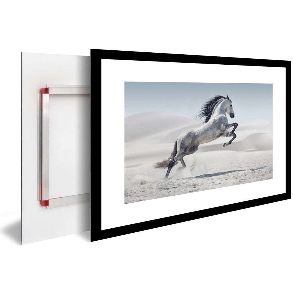 Tableau Moderne pas cher DST0013 - Cheval blanc qui saute dans le sable du désert - Tableau déco Animaux