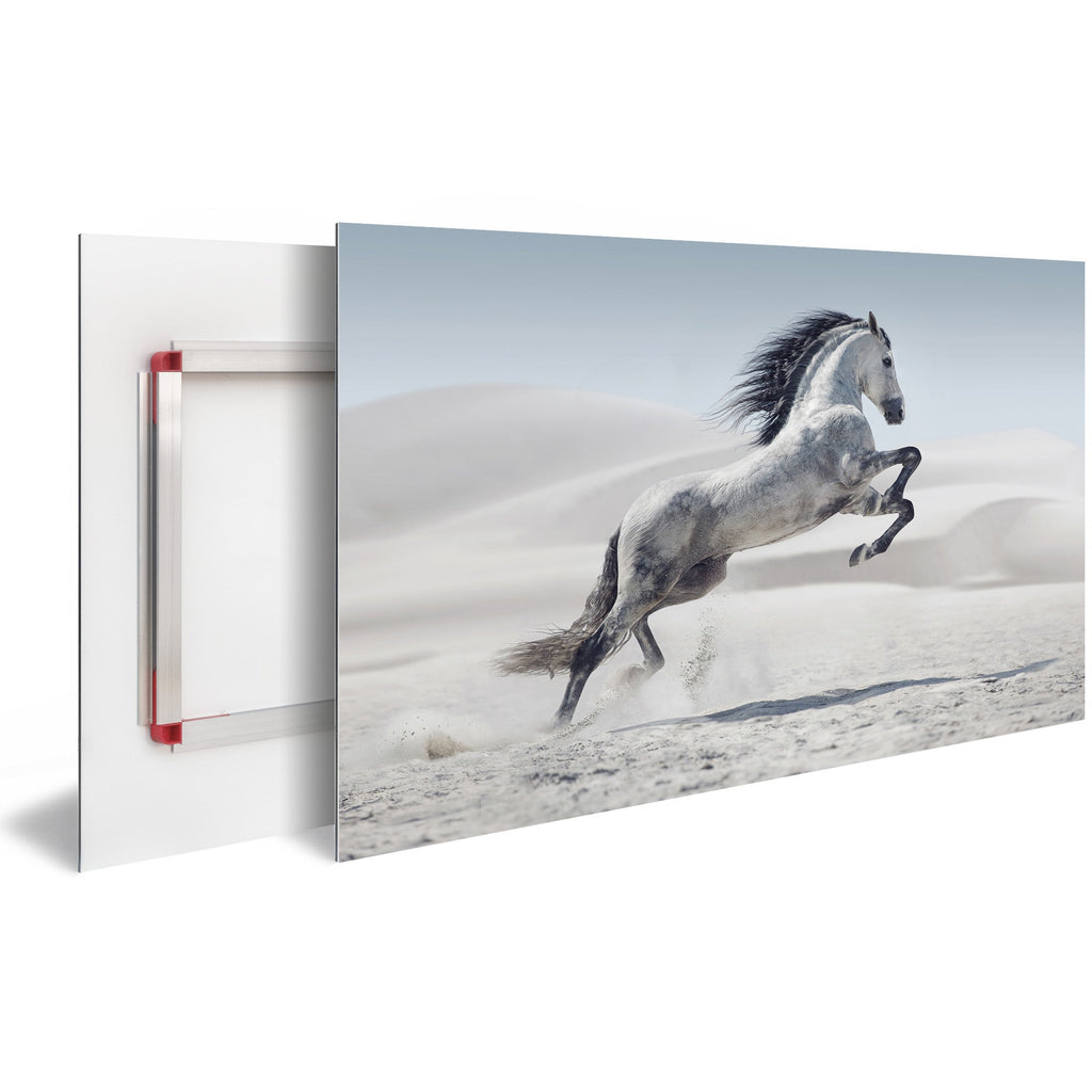 Tableau Décoration Murale Moderne Design DST0013 - Cheval blanc qui saute dans le sable du désert - Tableau déco Animaux - Printadeco