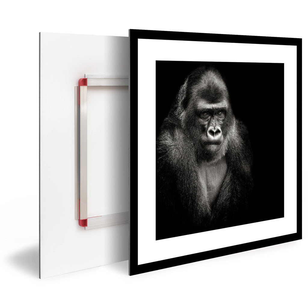 Tableau Moderne pas cher DST0024NB - Portrait de gorille en noir et blanc - Tableau déco Animaux