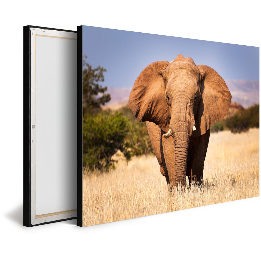 Tableau Décoration Murale Moderne Design DST0035 - Éléphant d'Afrique dans la Savane - Tableau déco Animaux - Printadeco
