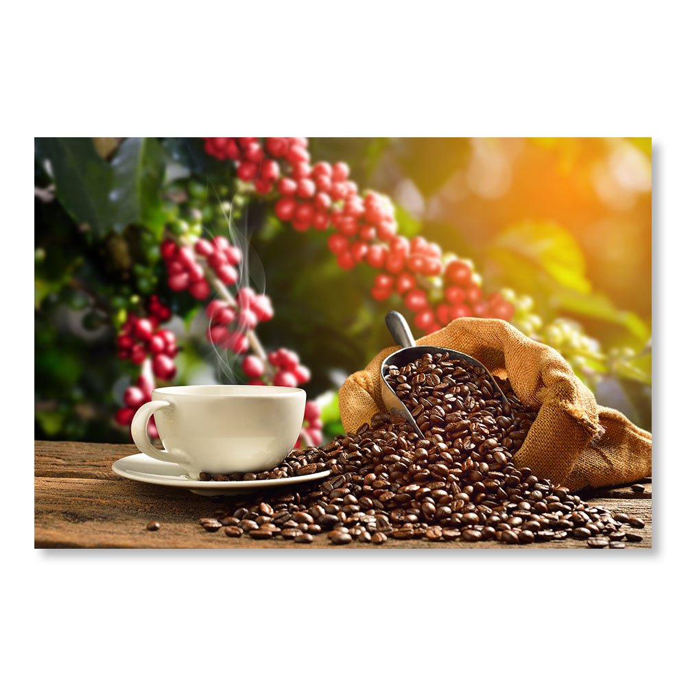 Modern Design Wall Decoration Painting DST0038 - Cup and coffee beans - Decorative painting for kitchen restaurant - Printadeco