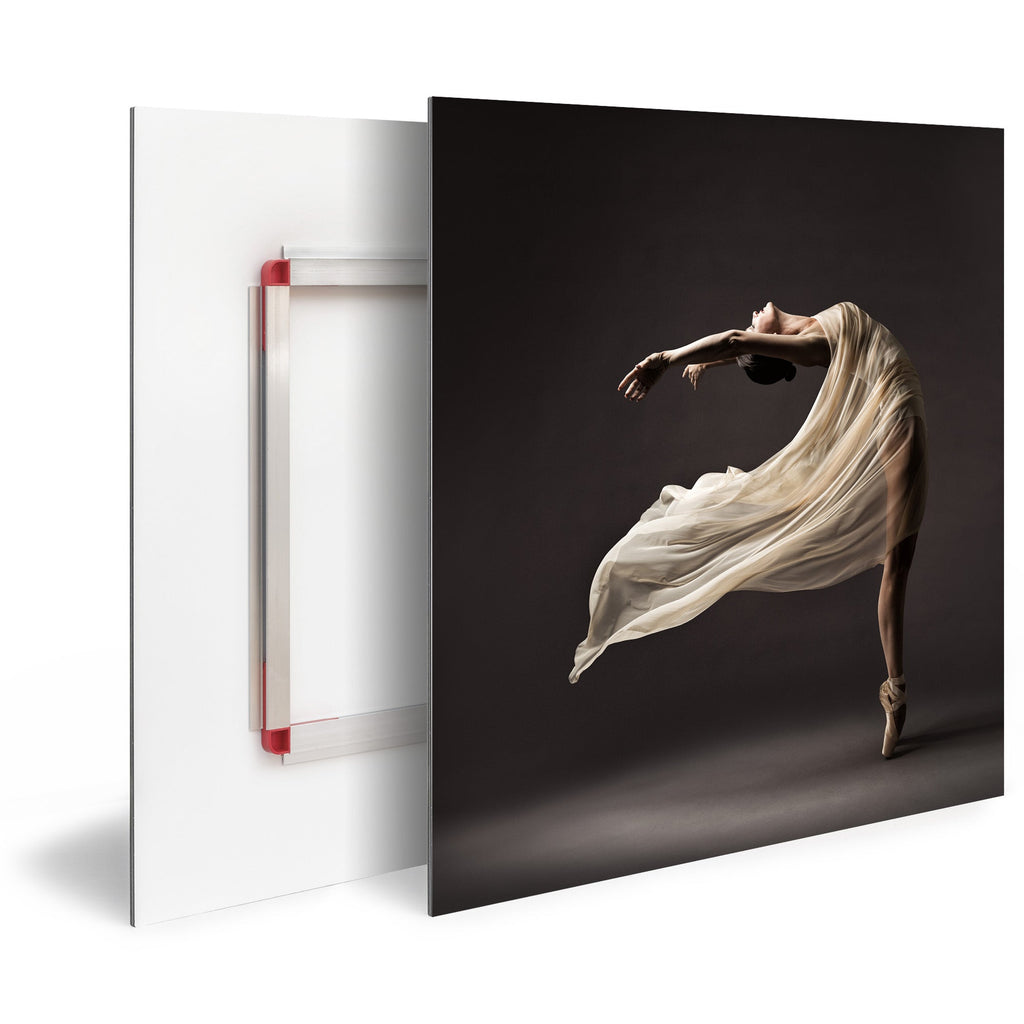 Tableau Moderne pas cher DST0086 - Danseuse classique dans le vent - Tableau déco Inspiration