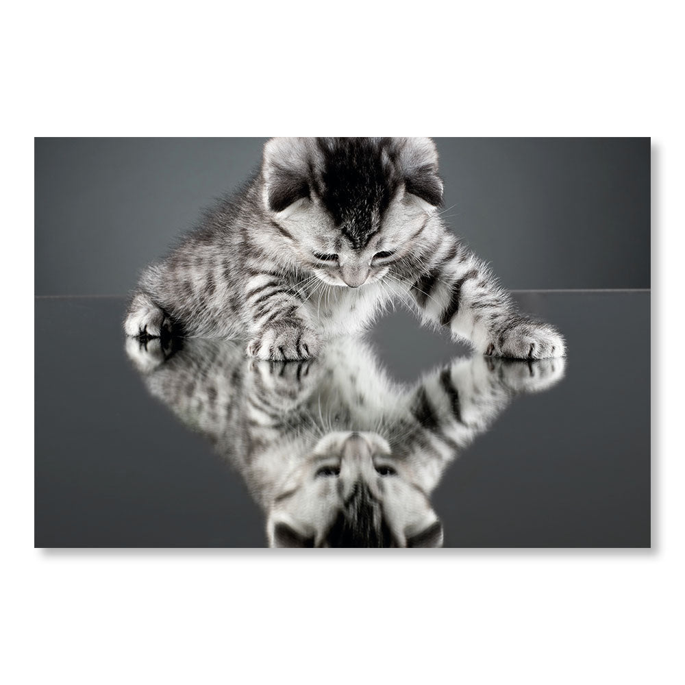 Modernes Design-Wanddekorationsgemälde DST0106 – Kätzchen und seine Spiegelung – niedliches Tier-Dekorationsgemälde – Printadeco