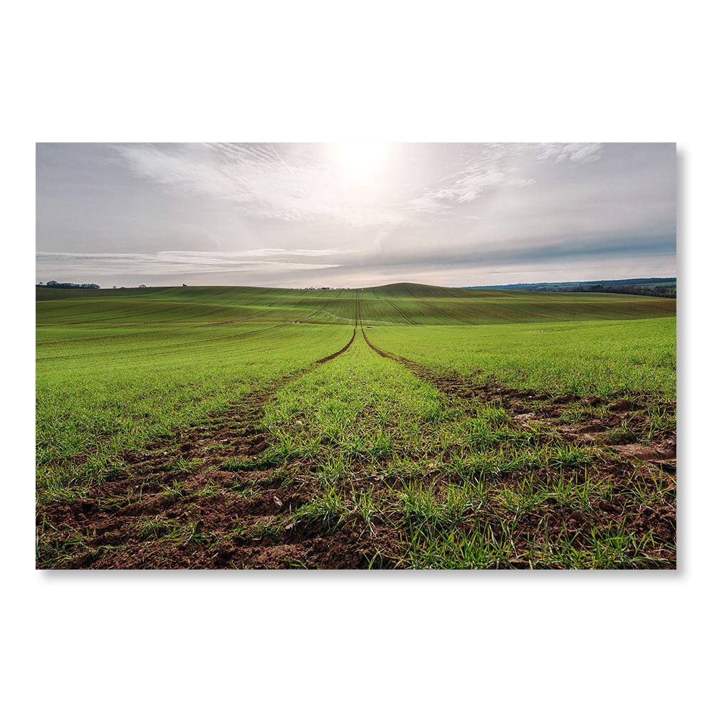 Modern Design Wall Decoration Painting SBL0040 - Tractor tracks in a field in France - Nature decorative painting - Printadeco