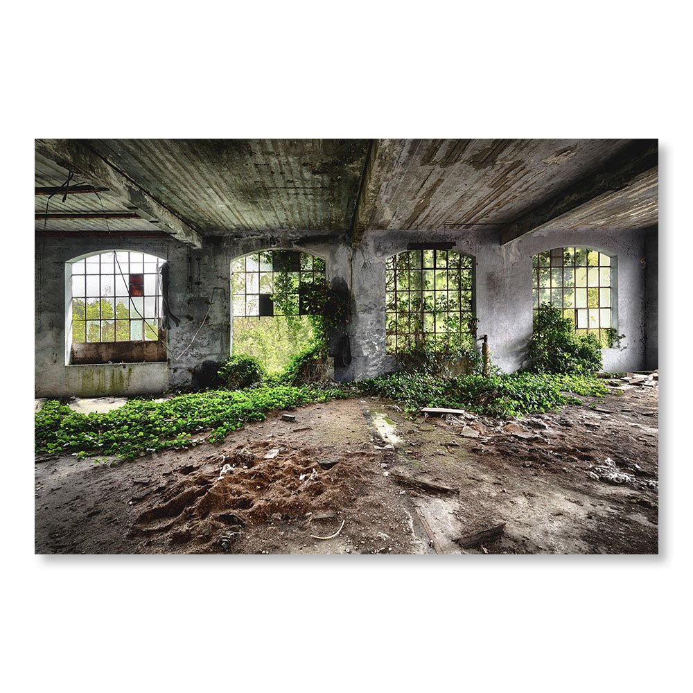 Modernes Design-Wanddekorationsgemälde SBL0081 - Alte verlassene Fabrik mit Vegetation in Frankreich - Urbex-Dekorationsgemälde - Printadeco