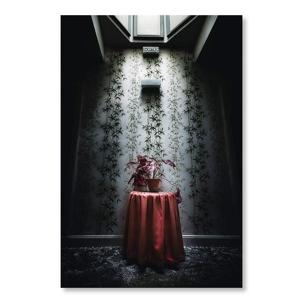 Modernes Design-Wanddekorationsgemälde SBL0108 – Säulentisch unter einem Oberlicht in einem verlassenen Schloss in Frankreich – Dramatische Dekorationsmalerei – Printadeco