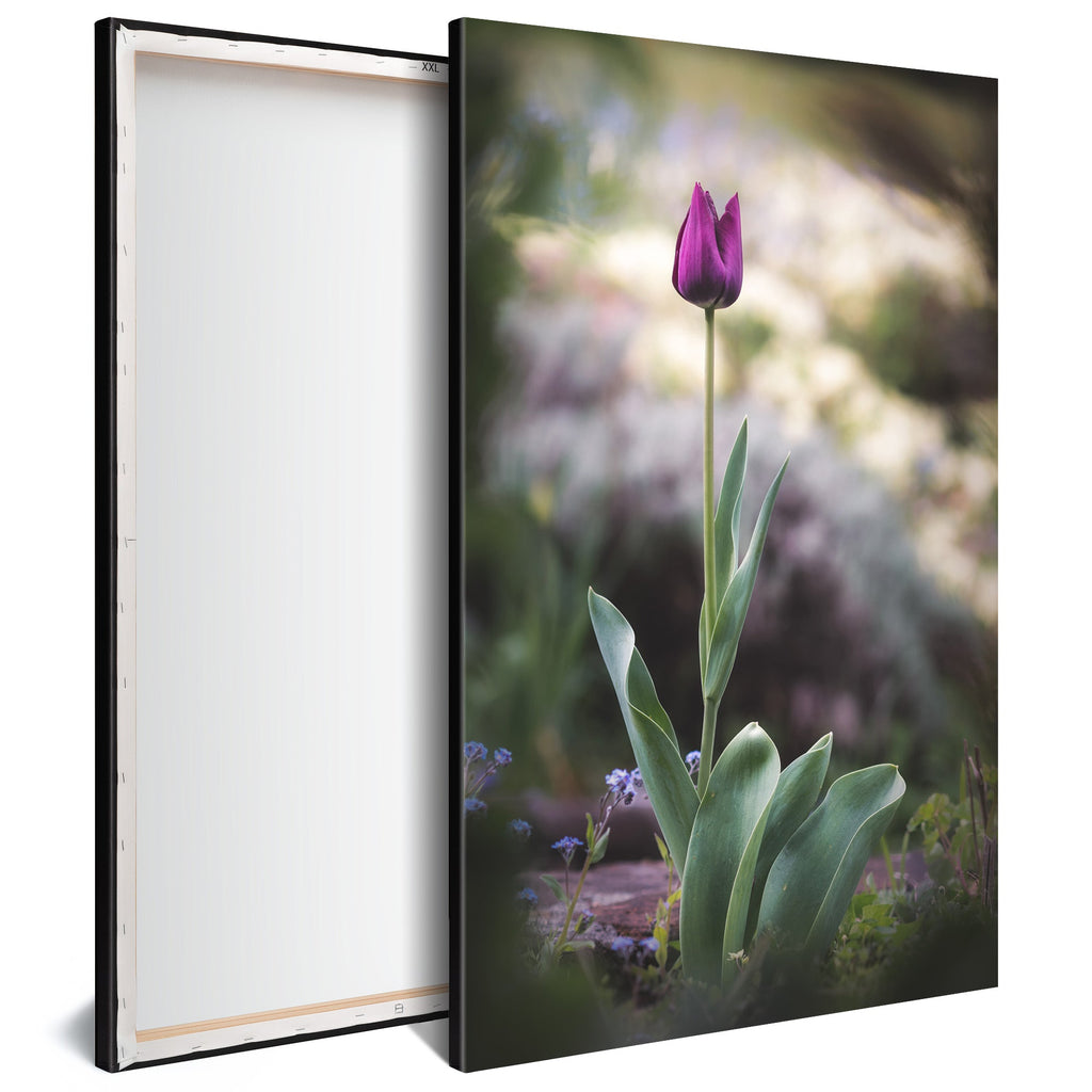 Tableau Moderne pas cher SBL0027 - Fleur Tulipe violette - Tableau déco Nature